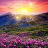 Hidden Object: Summer Serenity icon