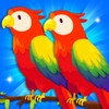 Color Bird Sort Puzzle icon