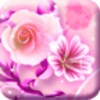 Rose Papillon icon
