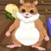 hamster caring icon