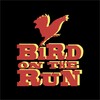 Bird On The Run icon