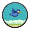 Birdie Wear icon