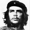 Quotes of Che icon