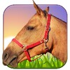 Ride Horse 3D icon