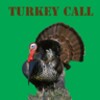 Turkey Call Free icon