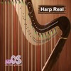 Icon von Harp Real