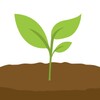 Icono de Avocado Habit