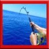 Fish Fishing ! icon