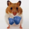 Hamster Live Wallpapper icon