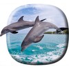 Dolphins Video Live Wallpaper icon