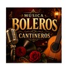 Icono de Boleros Cantineros