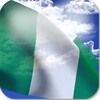 Nigeria Flag icon