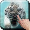 Diving Tiger Live Wallpaper icon