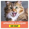 Éduquer un Chat icon