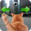 Cat In City Go Simulator icon
