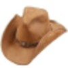 Country II icon