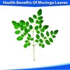 Health Benefits of Moringa Leaves icon