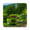 nature wallpaper icon