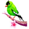 Birds Pixel Art Coloring Book icon