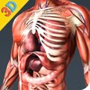 Human Anatomy And Physiology simgesi