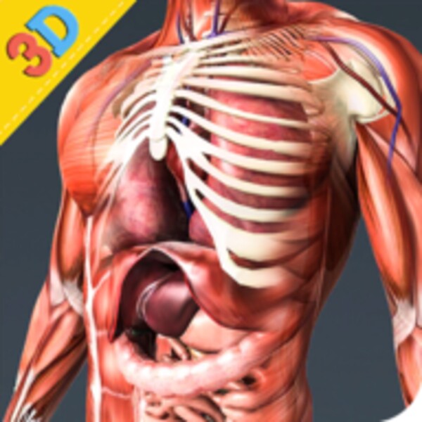 Human Anatomy And Physiology for Android - Download the APK from Uptodown