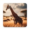 Icono de Giraffe Wallpapers