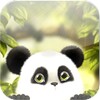Panda Chub Live Wallpaper Free icon