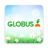 Globus icon