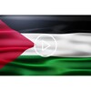 Palestine Flag Live Wallpaper icon