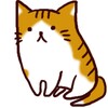 Nyankoro Live icon