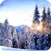 Winter Paradise 4K Live Wallpa icon