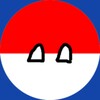 Icône Polandball Sliding