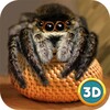 Spider Pet Life Simulator 3D icon