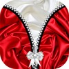 Satin Zipper Screen icon