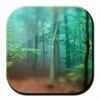 Forest Live Wallpaper 3D icon