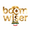 Icono de Boom Wiser