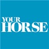 Your Horse icon