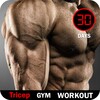 Triceps Workout - Arm Exercise icon