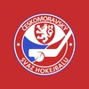 Hokejbal icon