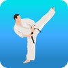 Karate Workout At Home icon