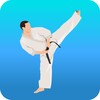 Karate Workout At Home 图标