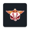 Lucknow Super Giants icon