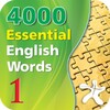 4000 Essential English Words 1 icon