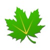 Greenify icon