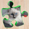 Puzzle relaxing games icon