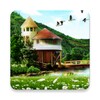 Sommer-Landschaft Live Wallpaper icon