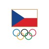 Olympijský tým icon