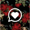 Icon von Finally