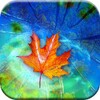 Autumn Leaves Live Wallpaper icon