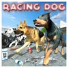 Dog Racing : Dog Games icon